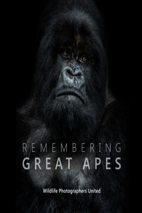 Omslag: Remembering Great Apes
