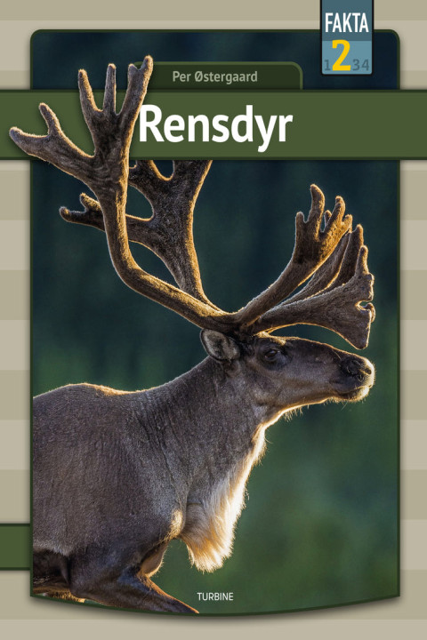 Omslag: Rensdyr