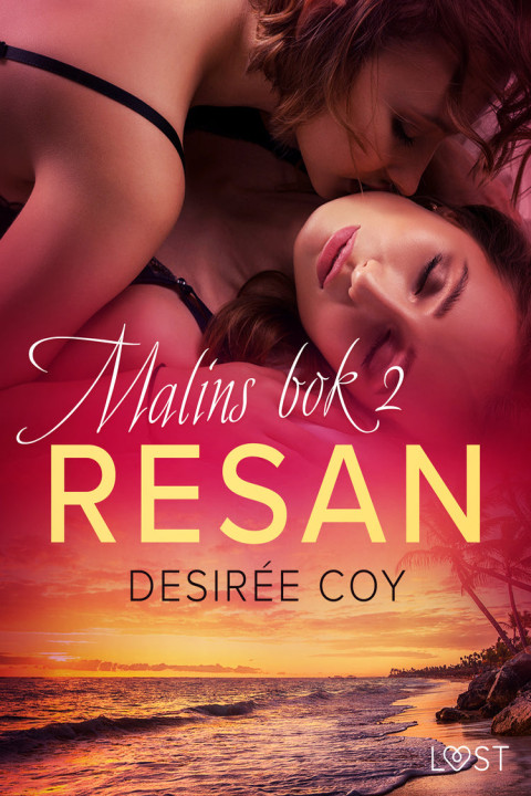 Omslag: Resan - Malins bok 2
