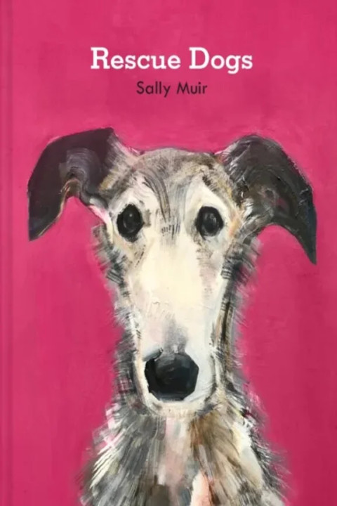 Omslag: Rescue Dogs