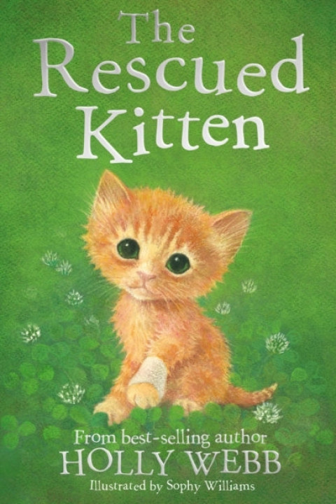 Omslag: Rescued Kitten