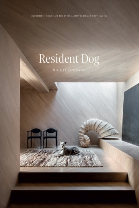 Omslag: Resident Dog Volume 2