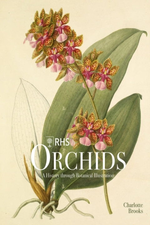Omslag: Rhs Orchids