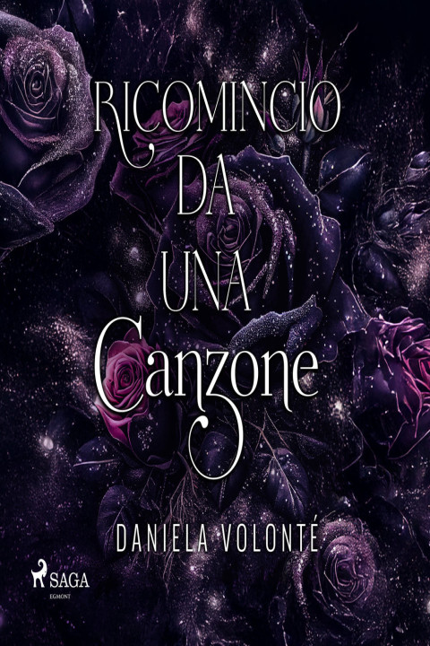 Omslag: Ricomincio da una canzone