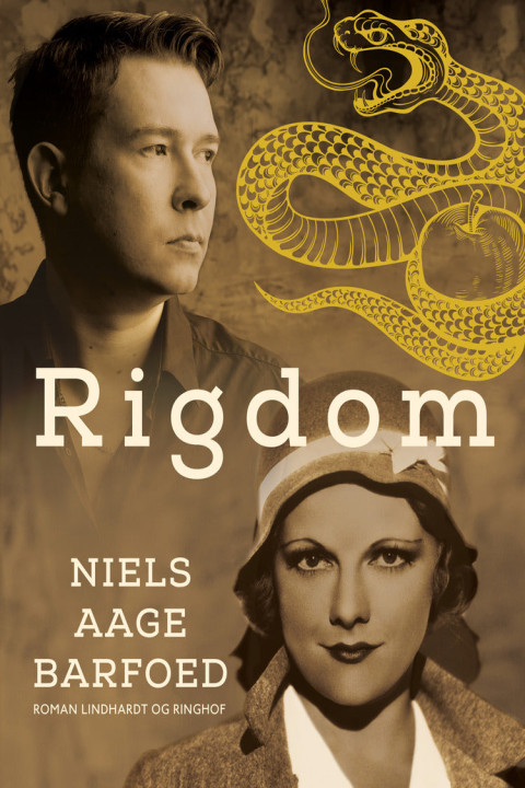 Omslag: Rigdom