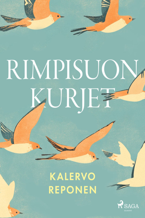Omslag: Rimpisuon kurjet