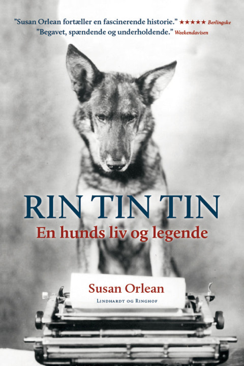 Omslag: Rin Tin Tin