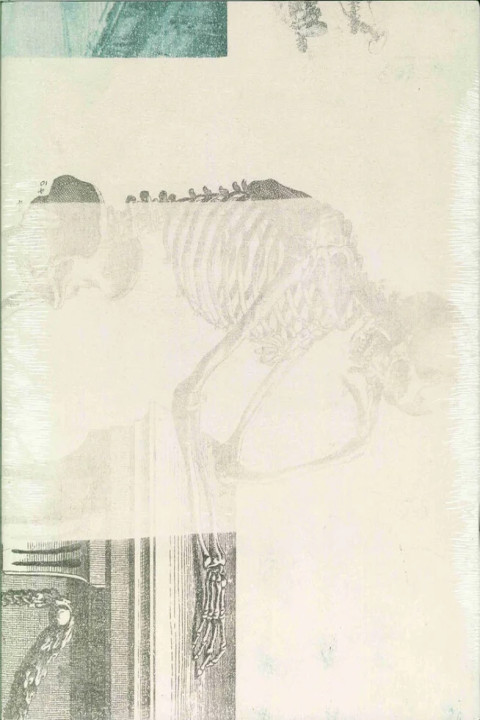 Omslag: Robert Rauschenberg, Lurid Attack