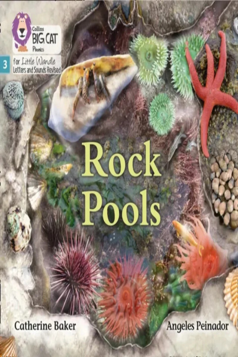 Omslag: Rock Pools - Phase 3 Set 1