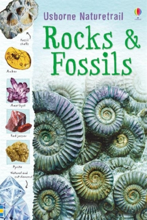 Omslag: Rocks and Fossils