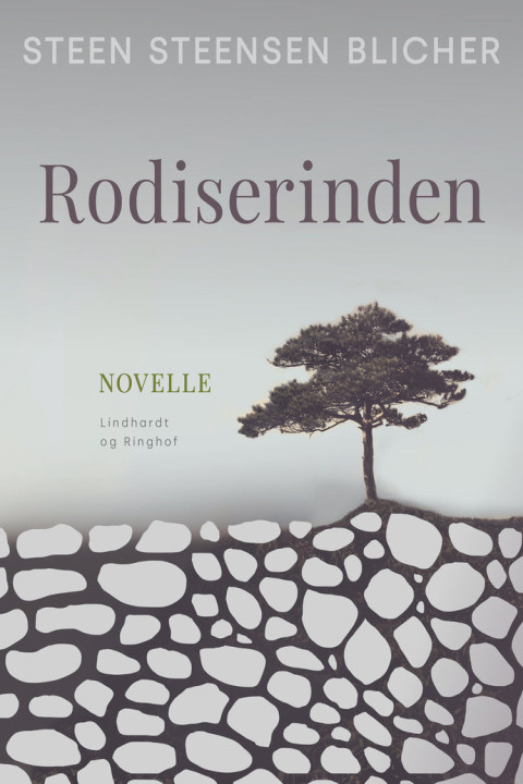 Omslag: Rodiserinden
