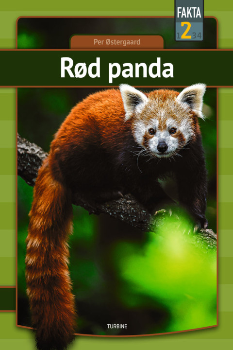 Omslag: Rød panda