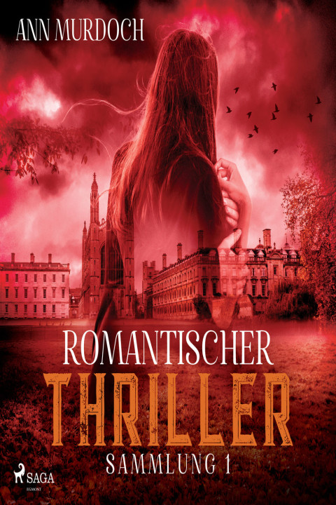 Omslag: Romantischer Thriller Sammlung 1