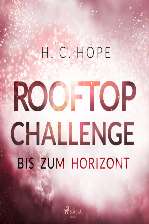 Omslag: Rooftop Challenge - Bis zum Horizont