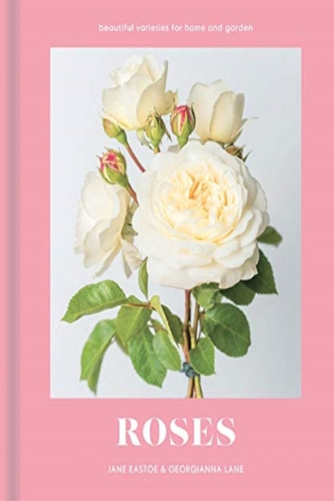 Omslag: Roses
