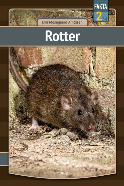 Omslag: Rotter