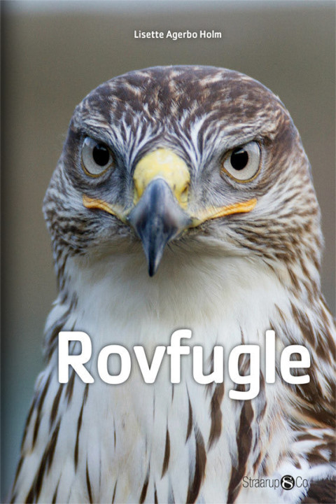 Omslag: Rovfugle