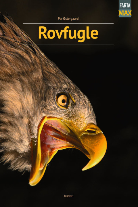 Omslag: Rovfugle