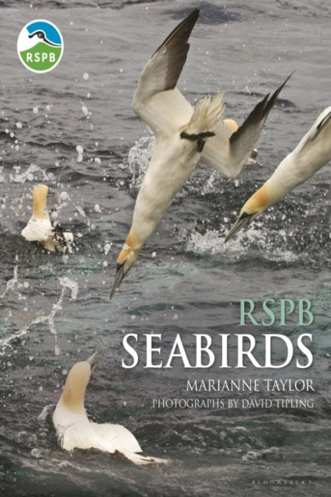 Omslag: Rspb Seabirds