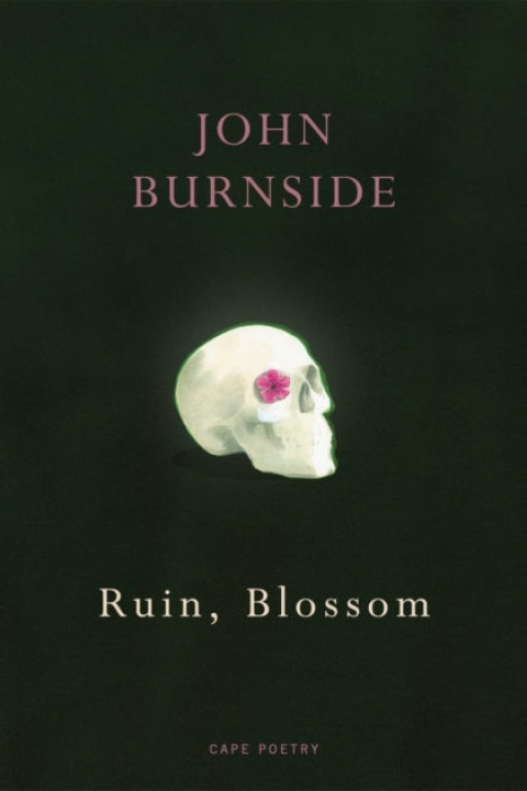 Omslag: Ruin, Blossom