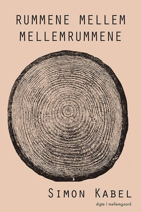 Omslag: Rummene mellem mellemrummene