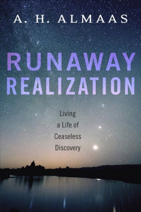 Omslag: Runaway Realization