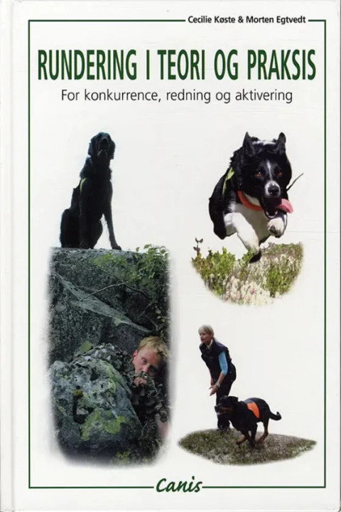 Omslag: Rundering i teori og praksis