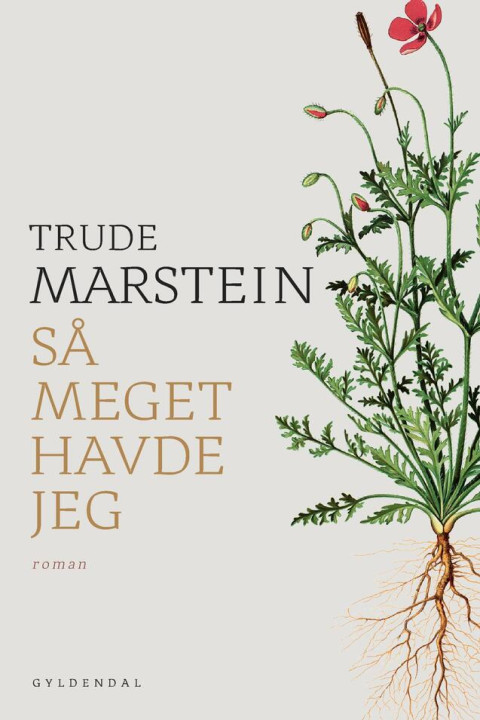 Omslag: Så meget havde jeg