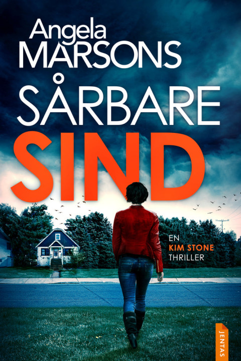 Omslag: Sårbare sind