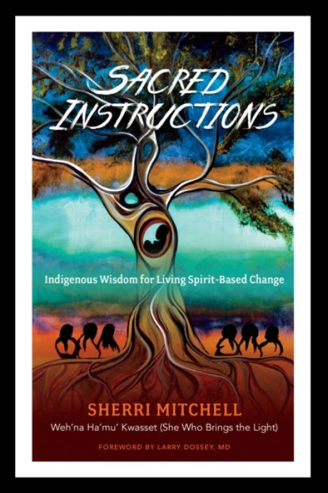 Omslag: Sacred Instructions