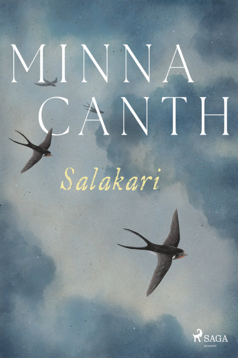 Omslag: Salakari