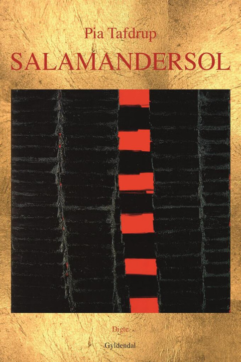 Omslag: Salamandersol