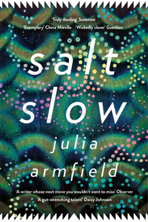 Omslag: Salt Slow