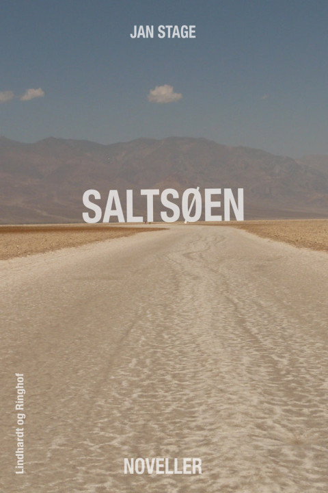 Omslag: Saltsøen