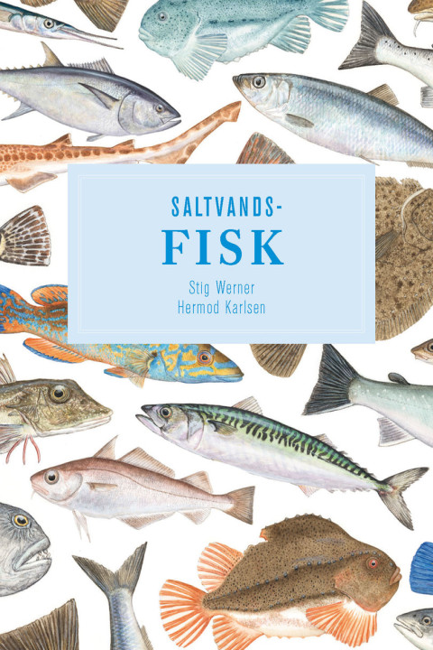 Omslag: Saltvandsfisk