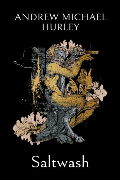 Omslag: Saltwash