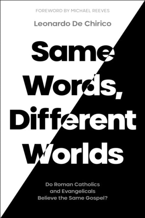 Omslag: Same Words Different Worldsdo Roman Catholics and Evangelic