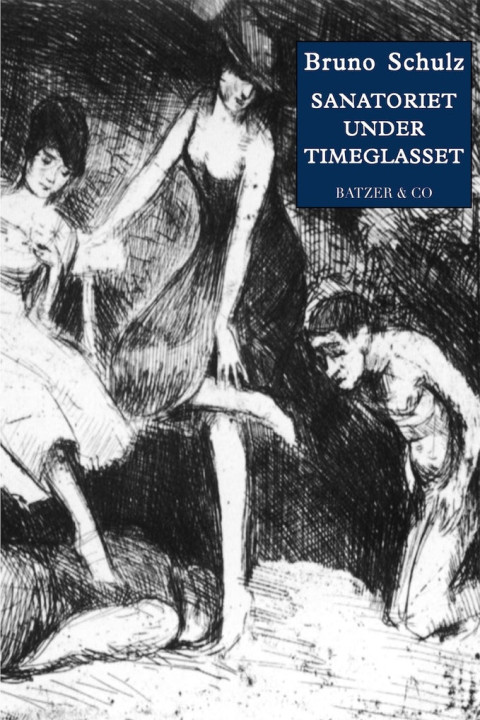 Omslag: Sanatoriet under timeglasset