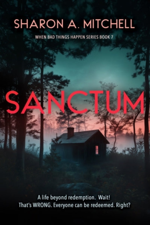 Omslag: Sanctum