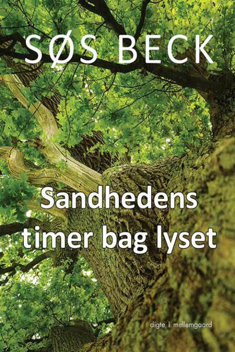 Omslag: Sandhedens timer bag lyset