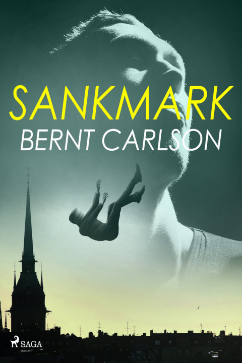 Omslag: Sankmark