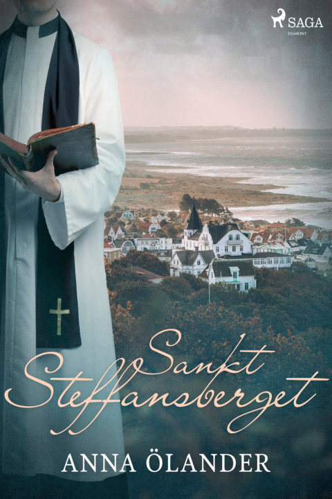 Omslag: Sankt Steffansberget