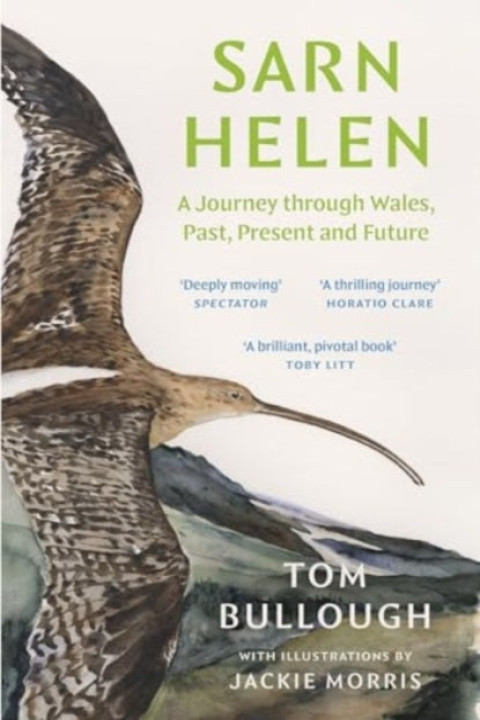 Omslag: Sarn Helen