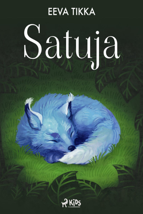 Omslag: Satuja
