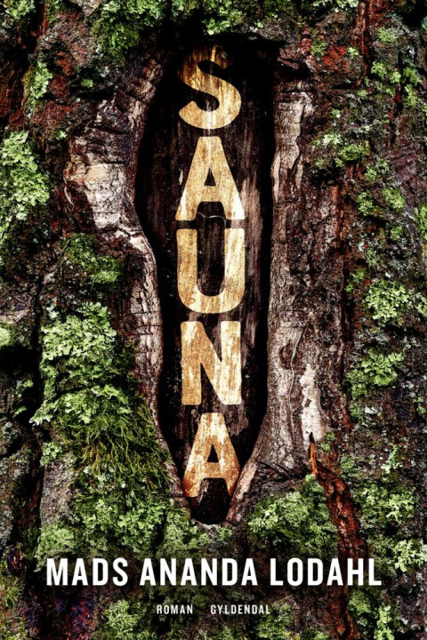Omslag: Sauna