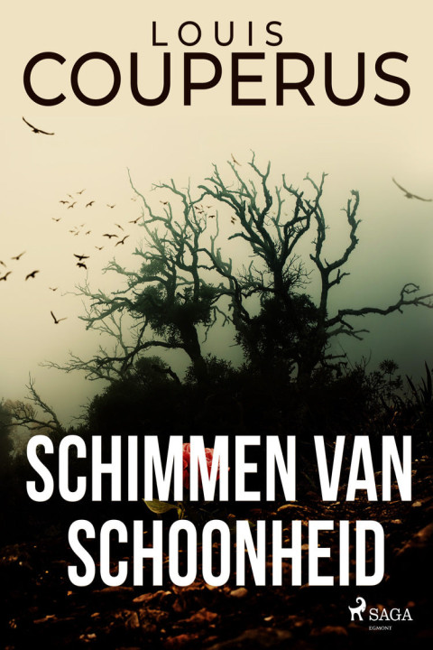 Omslag: Schimmen van schoonheid