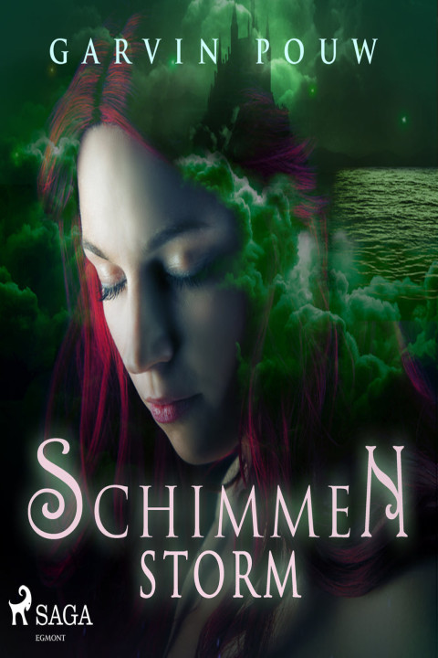 Omslag: Schimmenstorm