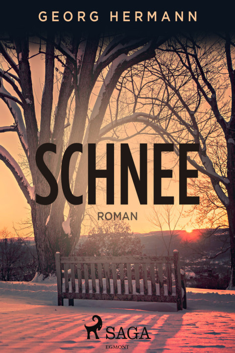 Omslag: Schnee