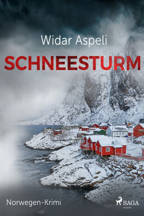 Omslag: Schneesturm - Norwegen-Krimi