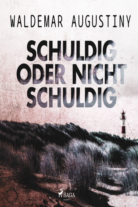 Omslag: Schuldig oder nicht schuldig